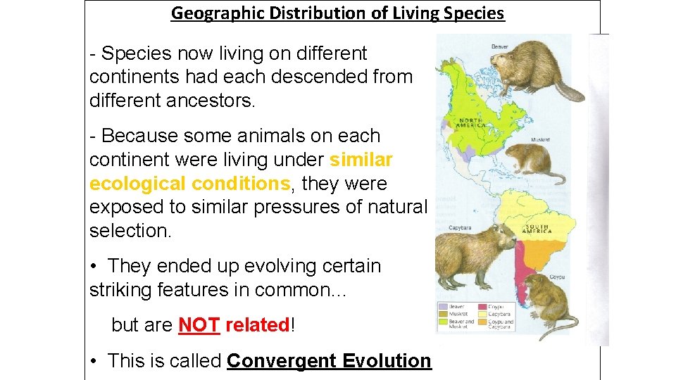 Geographic Distribution of Living Species - Species now living on different continents had each