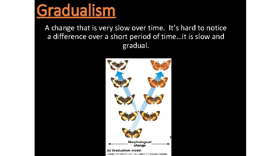 Gradualism A change that is very slow over time. It’s hard to notice a