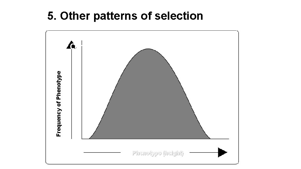5. Other patterns of selection Frequency of Phenotype Generic Bell Curve for Natural Variation