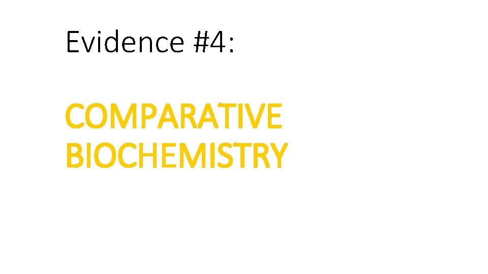Evidence #4: COMPARATIVE BIOCHEMISTRY 