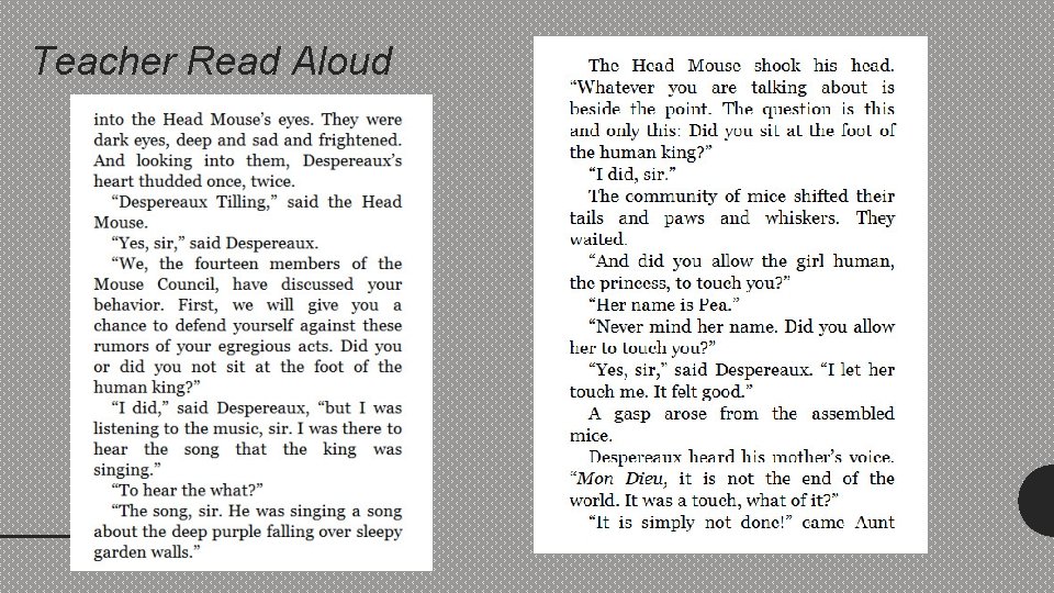Teacher Read Aloud 