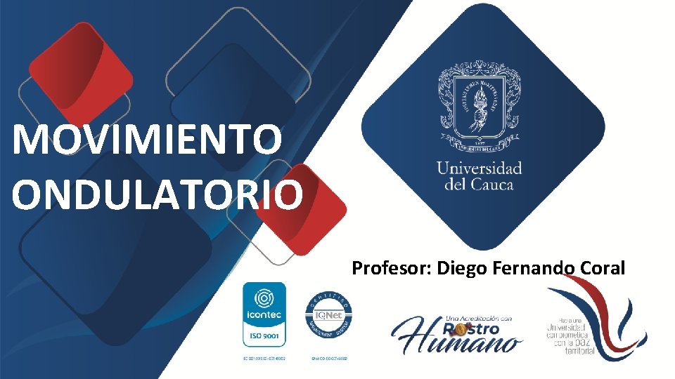 MOVIMIENTO ONDULATORIO Profesor: Diego Fernando Coral 