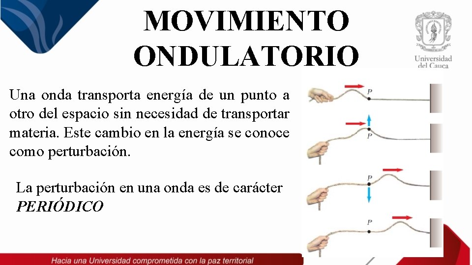 MOVIMIENTO ONDULATORIO Una onda transporta energía de un punto a otro del espacio sin