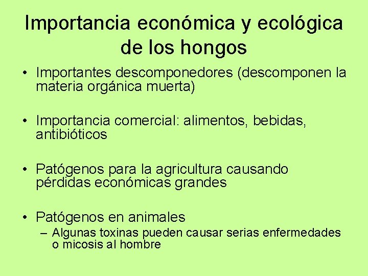 Importancia económica y ecológica de los hongos • Importantes descomponedores (descomponen la materia orgánica