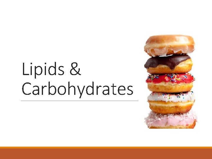 Lipids & Carbohydrates 