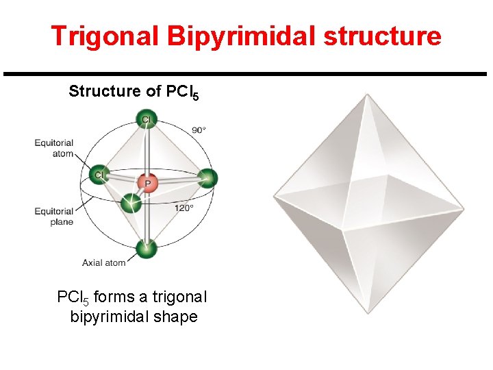 Trigonal Bipyrimidal structure Structure of PCl 5 forms a trigonal bipyrimidal shape 