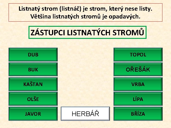 Listnatý strom (listnáč) je strom, který nese listy. Většina listnatých stromů je opadavých. ZÁSTUPCI