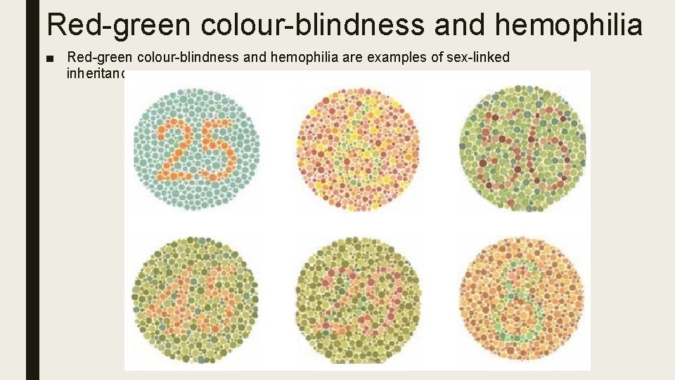 Red-green colour-blindness and hemophilia ■ Red-green colour-blindness and hemophilia are examples of sex-linked inheritance.