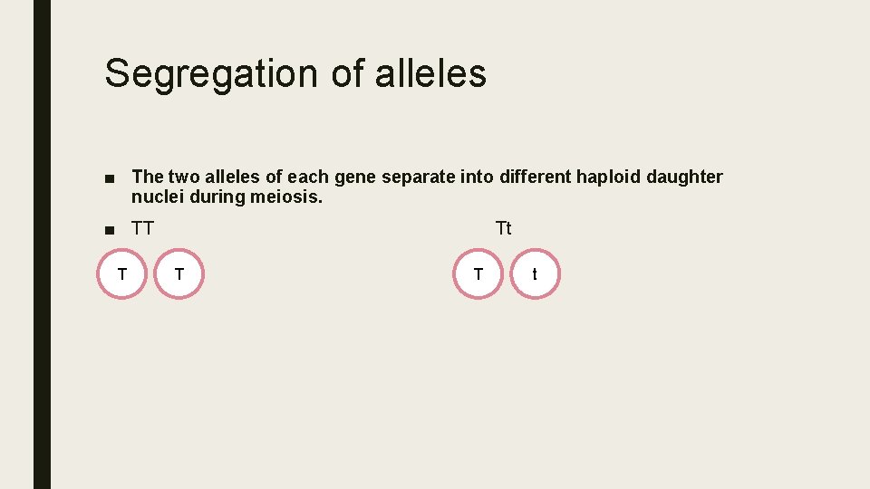 Segregation of alleles ■ The two alleles of each gene separate into different haploid