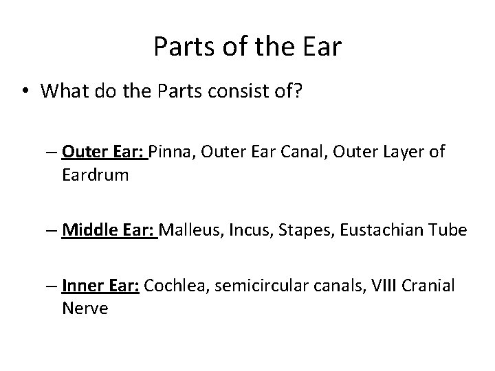 Parts of the Ear • What do the Parts consist of? – Outer Ear: