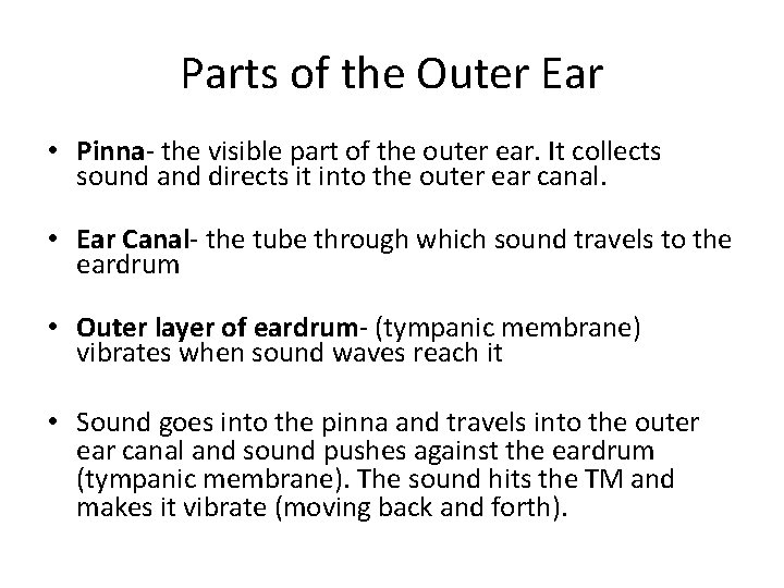 Parts of the Outer Ear • Pinna- the visible part of the outer ear.