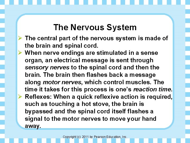 The Nervous System Ø The central part of the nervous system is made of
