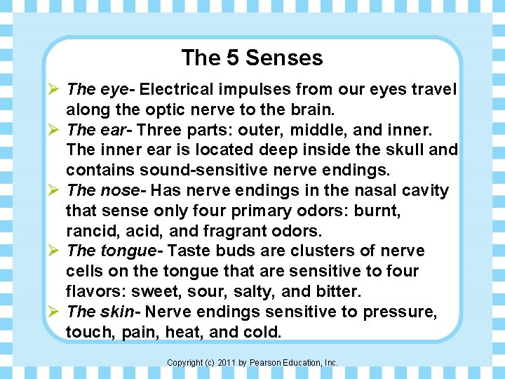 The 5 Senses Ø The eye- Electrical impulses from our eyes travel along the