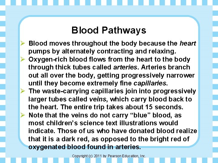 Blood Pathways Ø Blood moves throughout the body because the heart pumps by alternately