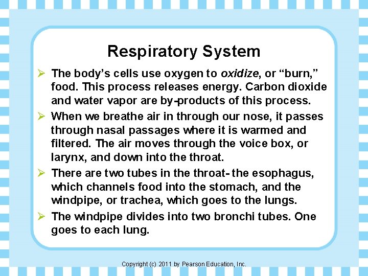 Respiratory System Ø The body’s cells use oxygen to oxidize, or “burn, ” food.
