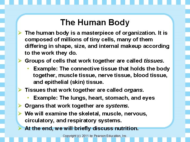 The Human Body Ø The human body is a masterpiece of organization. It is