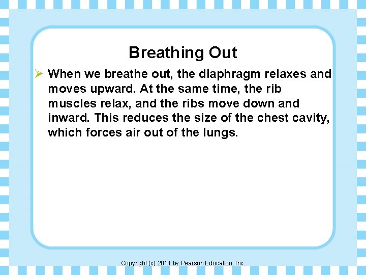 Breathing Out Ø When we breathe out, the diaphragm relaxes and moves upward. At