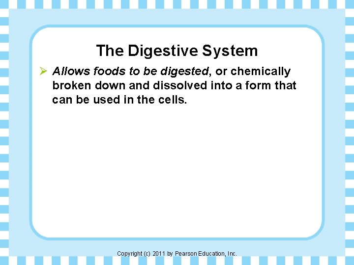 The Digestive System Ø Allows foods to be digested, or chemically broken down and