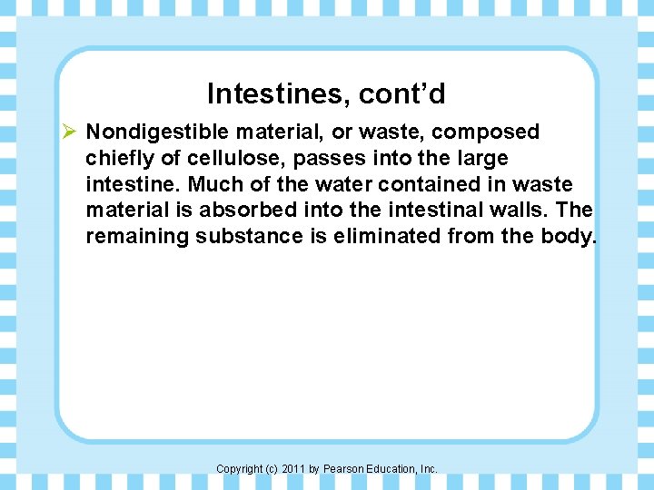 Intestines, cont’d Ø Nondigestible material, or waste, composed chiefly of cellulose, passes into the