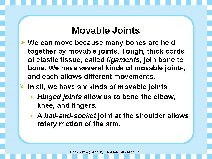 Movable Joints Ø We can move because many bones are held together by movable