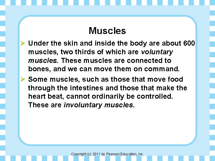 Muscles Ø Under the skin and inside the body are about 600 muscles, two