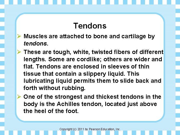 Tendons Ø Muscles are attached to bone and cartilage by tendons. Ø These are