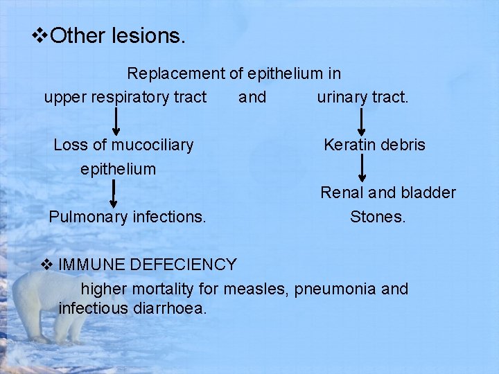 v. Other lesions. Replacement of epithelium in upper respiratory tract and urinary tract. Loss