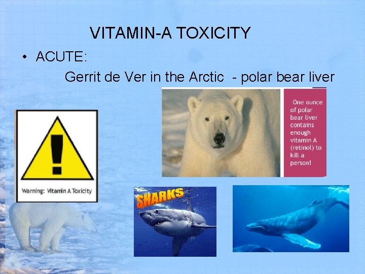 VITAMIN-A TOXICITY • ACUTE: Gerrit de Ver in the Arctic - polar bear liver