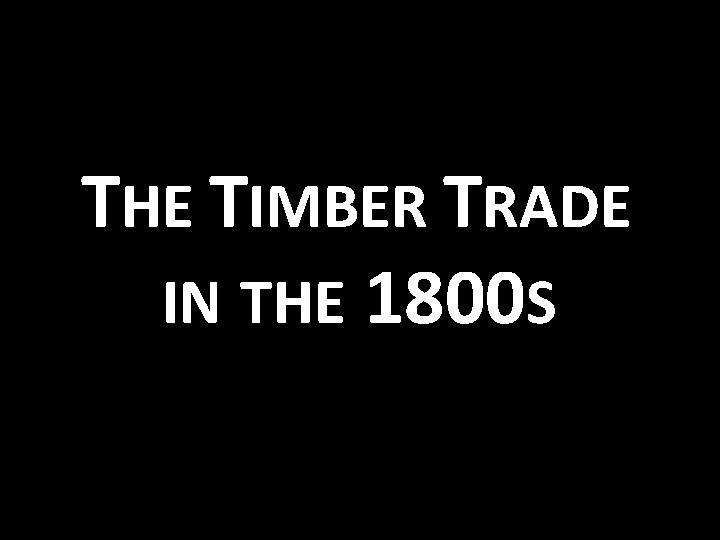 THE TIMBER TRADE IN THE 1800 S 