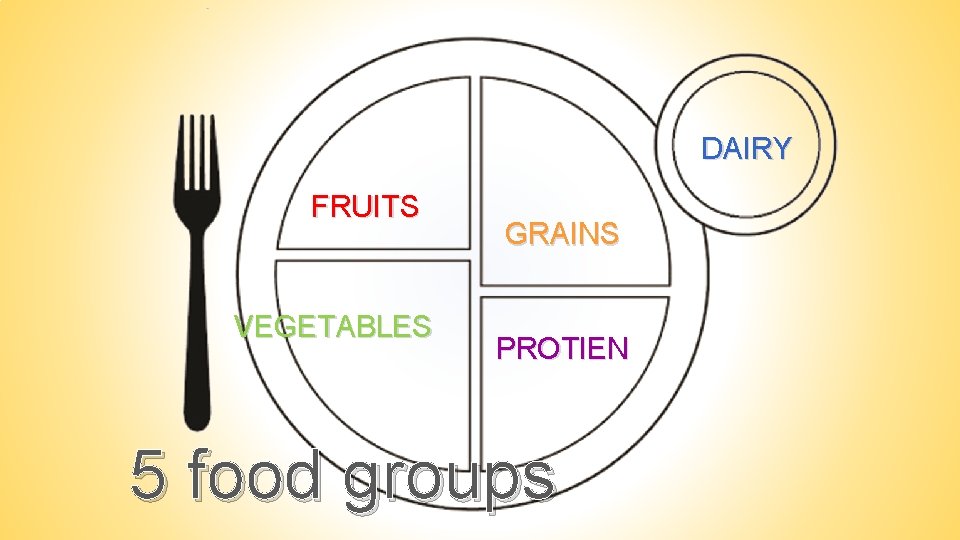 DAIRY FRUITS VEGETABLES GRAINS PROTIEN 5 food groups 