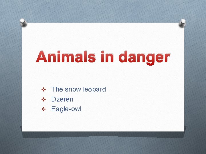 Animals in danger v The snow leopard v Dzeren v Eagle-owl 