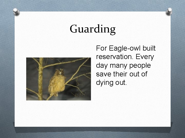 Guarding For Eagle-owl built reservation. Every day many people save their out of dying