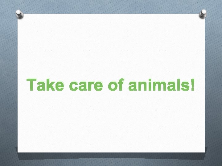 Take care of animals! 