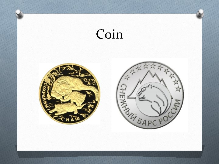 Coin 