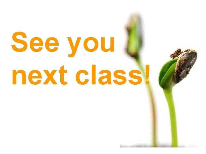 See you next class! 