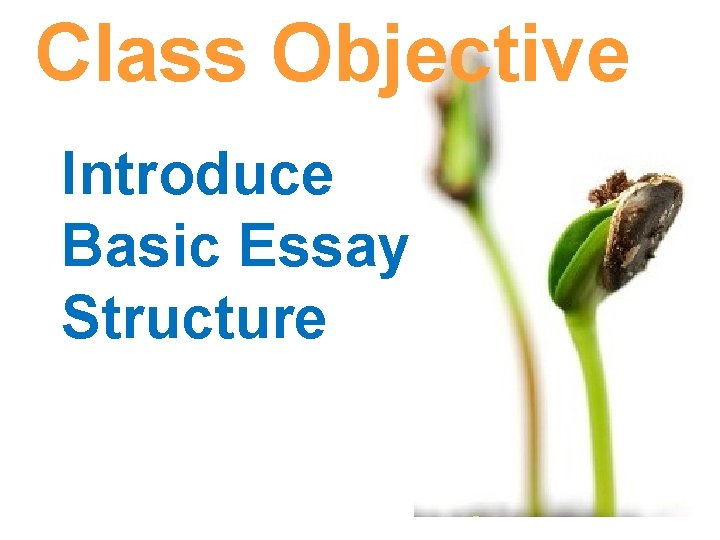 Class Objective Introduce Basic Essay Structure 