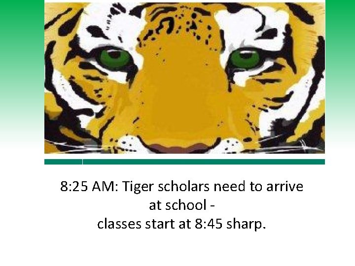 8: 25 AM: Tiger scholars need to arrive at school classes start at 8: