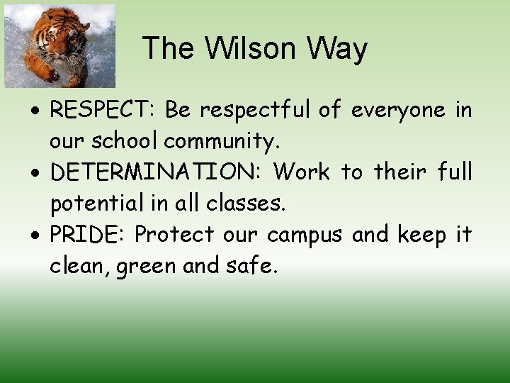 The Wilson Way RESPECT: Be respectful of everyone in our school community. DETERMINATION: Work