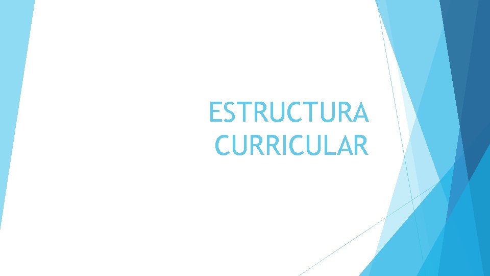 ESTRUCTURA CURRICULAR 