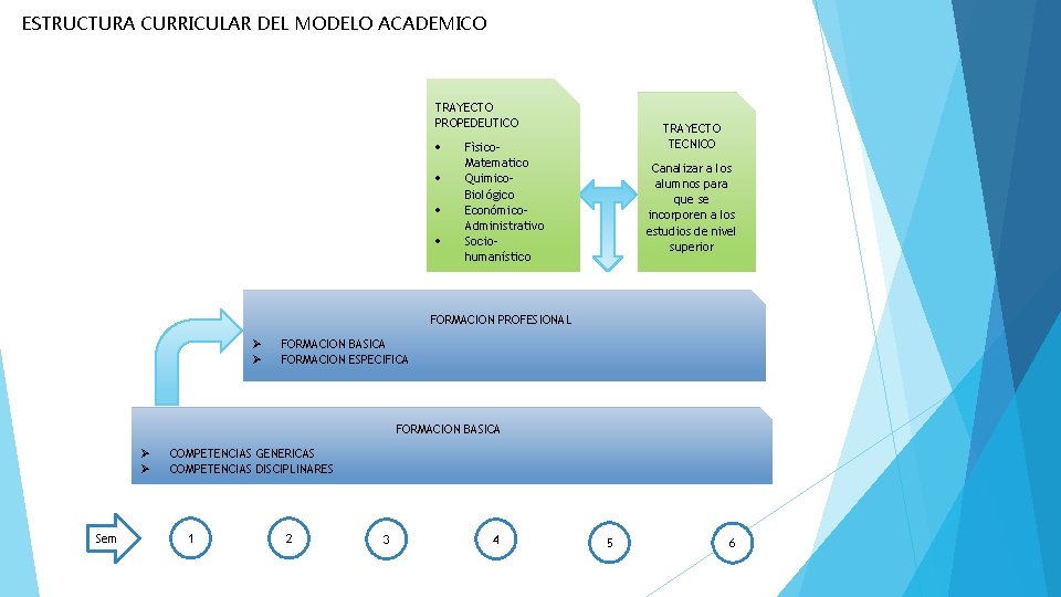 ESTRUCTURA CURRICULAR DEL MODELO ACADEMICO TRAYECTO PROPEDEUTICO TRAYECTO TECNICO Fìsico. Matematico Quimico. Biológico Económico.