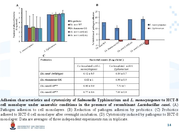 Adhesion characteristics and cytotoxicity of Salmonella Typhimurium and L. monocytogenes to HCT-8 cell monolayer