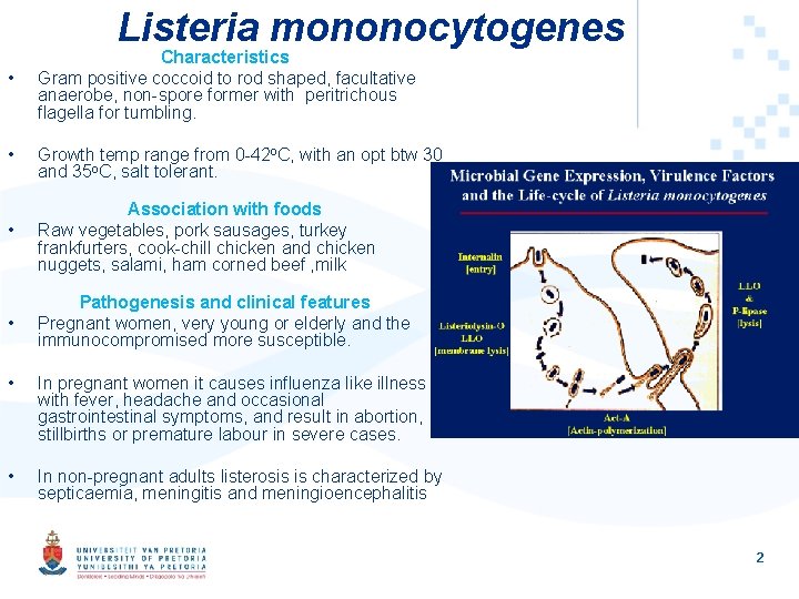 Listeria mononocytogenes • Characteristics Gram positive coccoid to rod shaped, facultative anaerobe, non-spore former