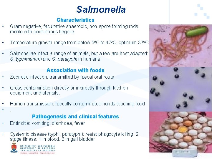 Salmonella Characteristics • Gram negative, facultative anaerobic, non-spore forming rods, motile with peritrichous flagella