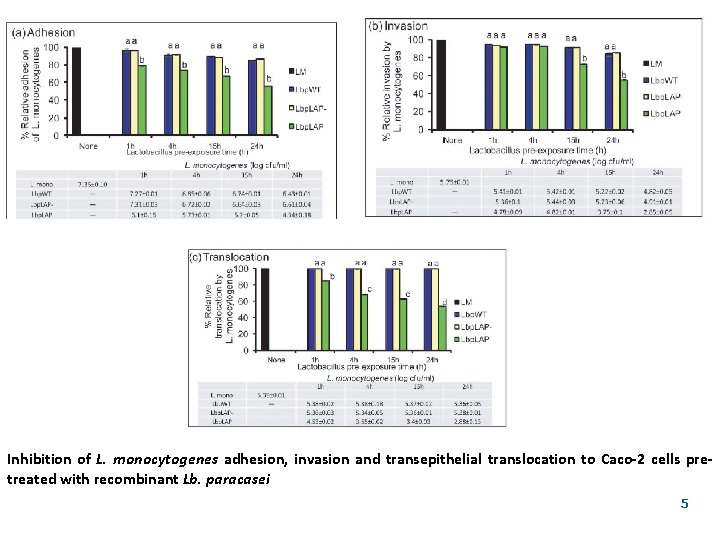 Inhibition of L. monocytogenes adhesion, invasion and transepithelial translocation to Caco-2 cells pretreated with