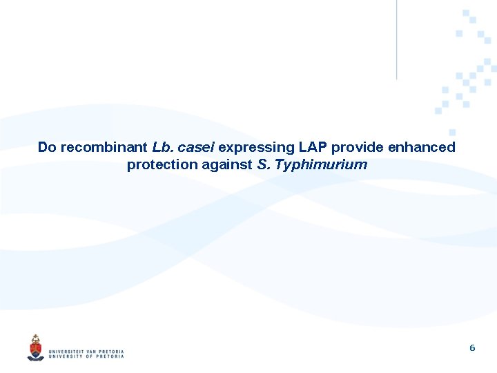 Do recombinant Lb. casei expressing LAP provide enhanced protection against S. Typhimurium 6 