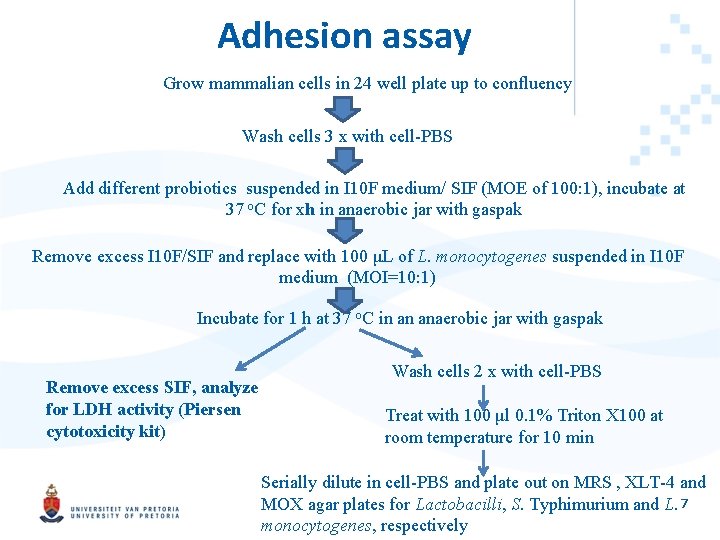 Adhesion assay Grow mammalian cells in 24 well plate up to confluency Wash cells