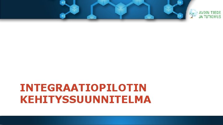 INTEGRAATIOPILOTIN KEHITYSSUUNNITELMA 