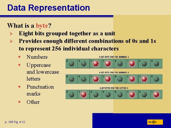 Data Representation What is a byte? Ø Ø Eight bits grouped together as a