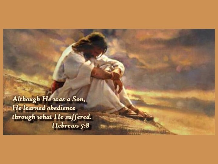 Jesus is Better Than Aaron as High Priest