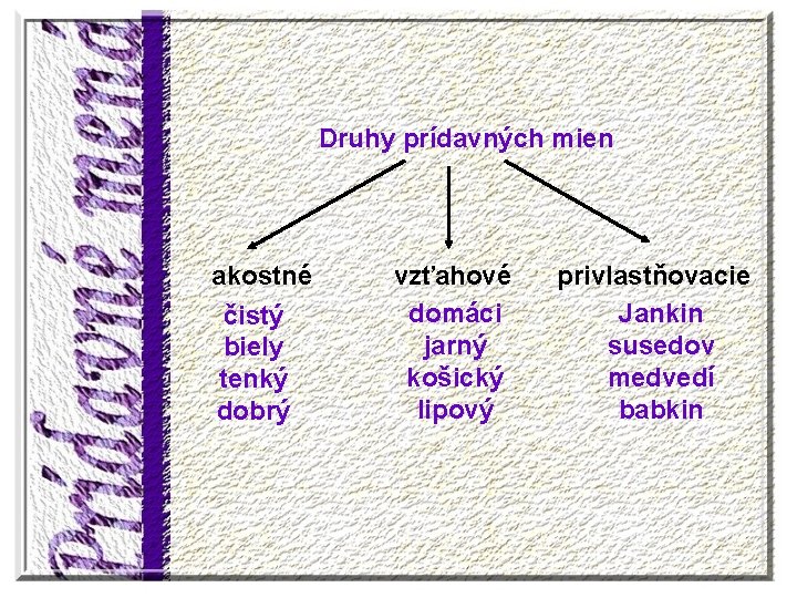 Druhy prídavných mien akostné čistý biely tenký dobrý vzťahové domáci jarný košický lipový privlastňovacie